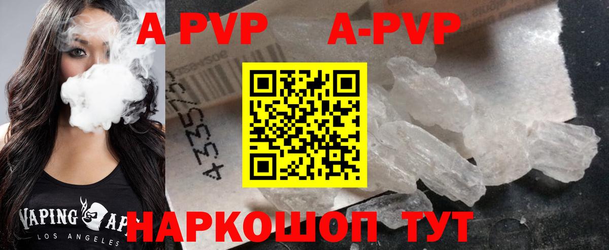 A-PVP СК КРИС Светлоград