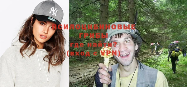 мяу мяу мука Алексеевка