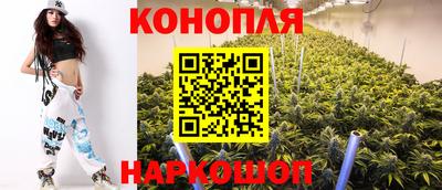 сатива Нягань