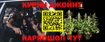 амф Обь