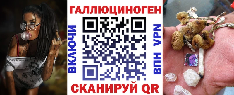 kraken маркетплейс  дарнет шоп  Светлоград  Галлюциногенные грибы мицелий 