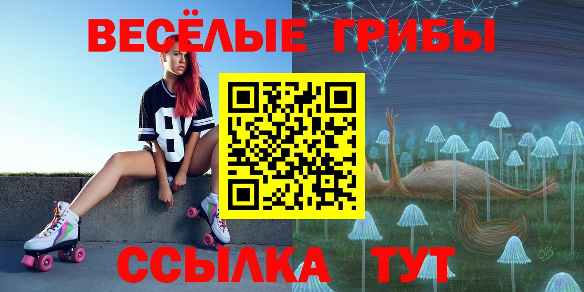 Псилоцибиновые грибы Psilocybe  Галлюциногенные грибы ЛСД  Светлоград  Вход с VPN 